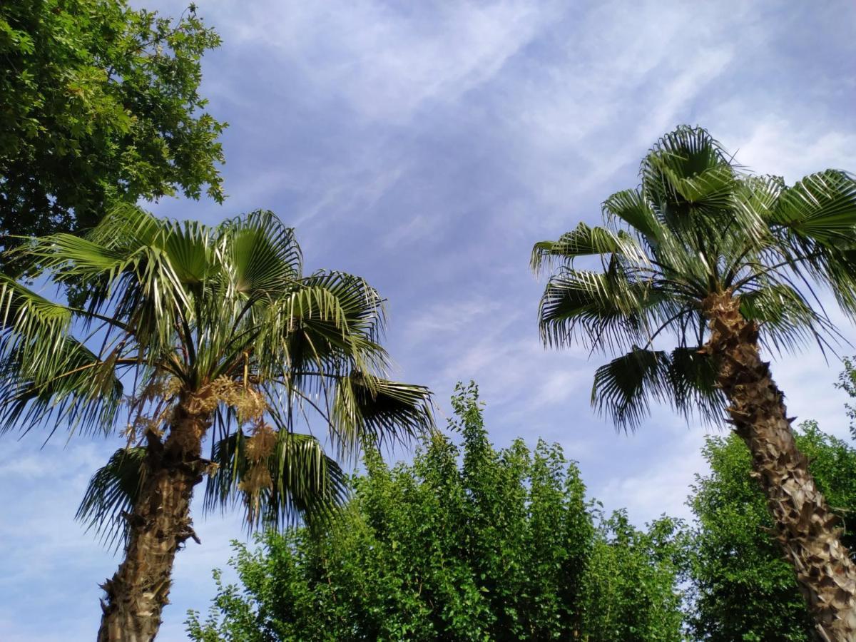 Olympos Yavuz Hotel Çıralı 외부 사진