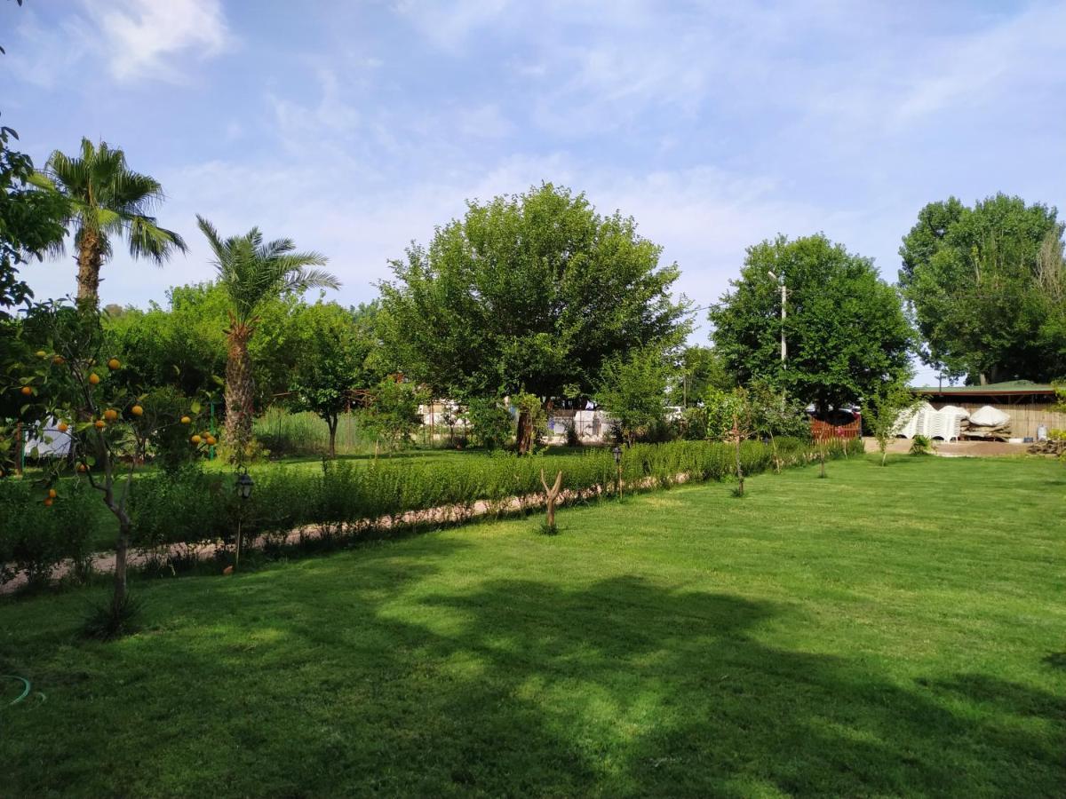 Olympos Yavuz Hotel Çıralı 외부 사진