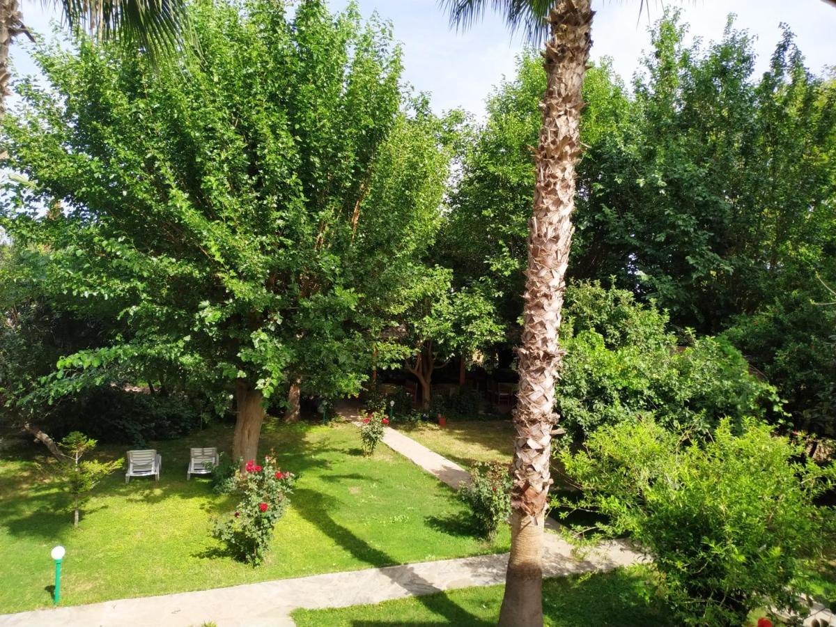 Olympos Yavuz Hotel Çıralı 외부 사진