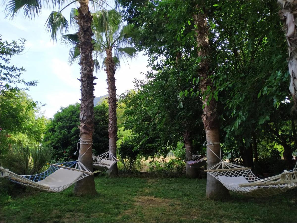 Olympos Yavuz Hotel Çıralı 외부 사진
