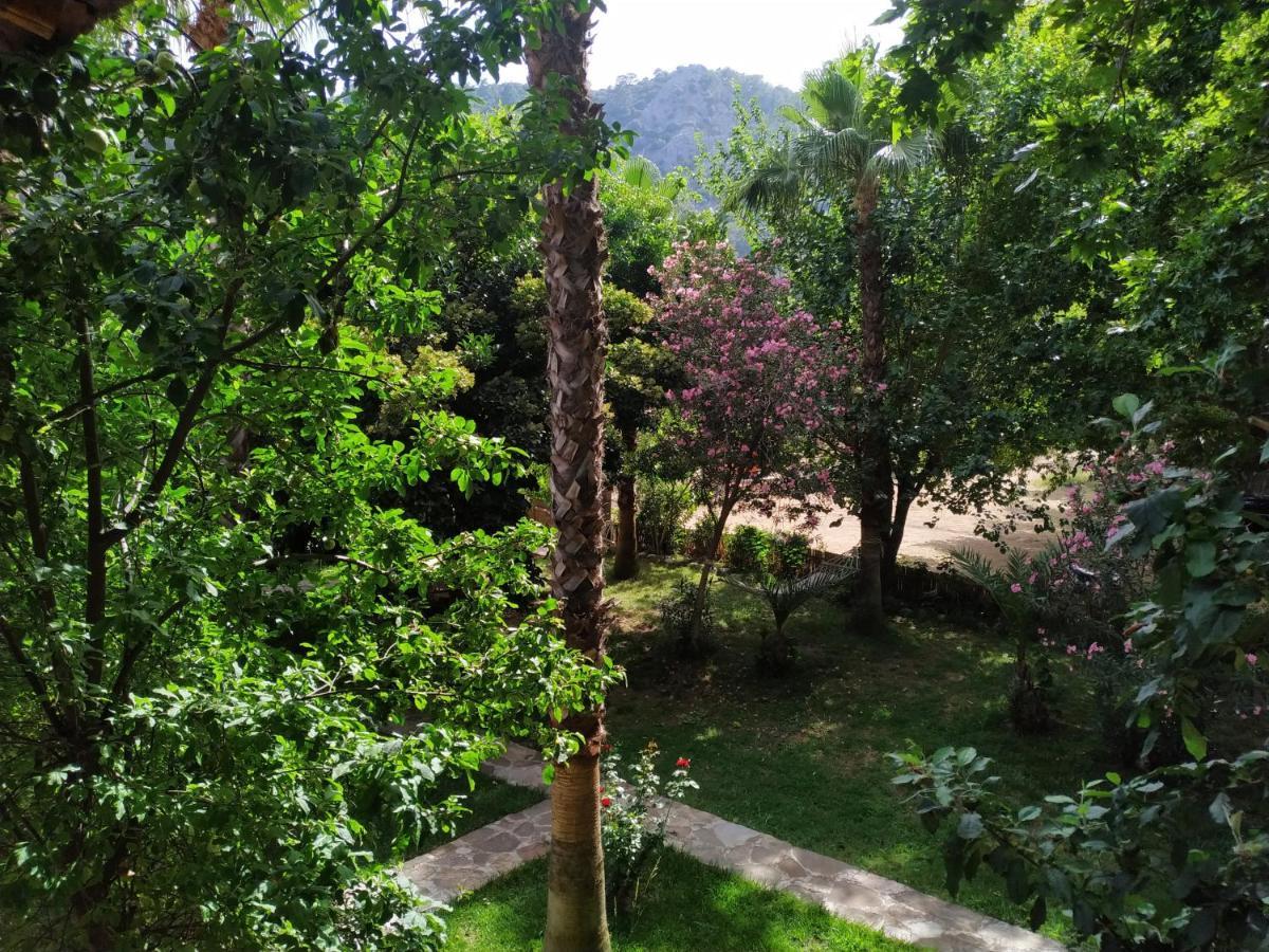 Olympos Yavuz Hotel Çıralı 외부 사진