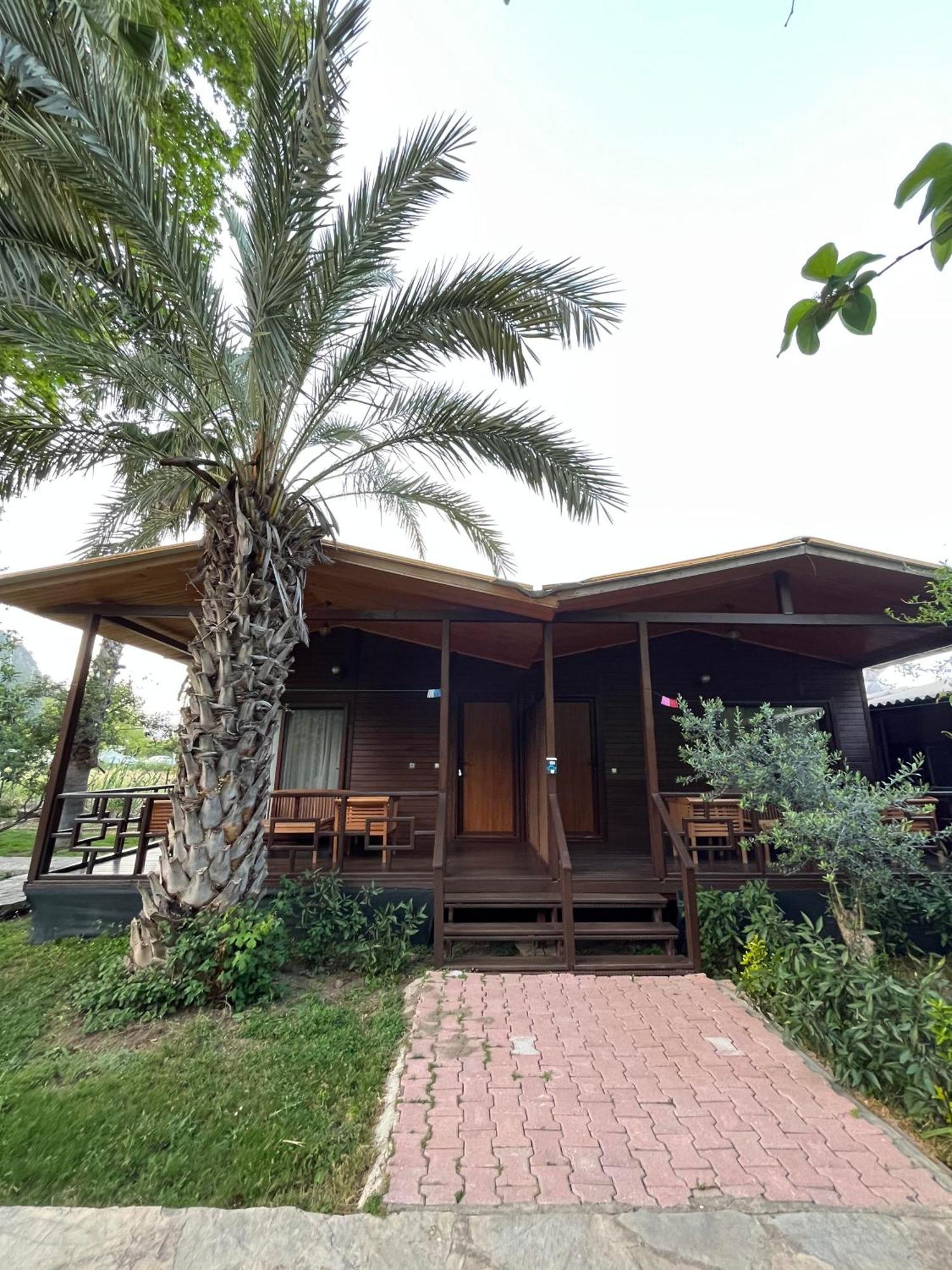 Olympos Yavuz Hotel Çıralı 외부 사진